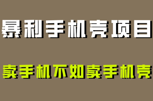 探析手机壳项目：为何卖手机壳比卖手机更具暴利性？